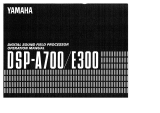 Yamaha DSP-E300 Instrukcja obsługi