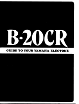 Yamaha B20CR Instrukcja obsługi