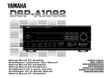 Yamaha DSP-A1092 Instrukcja obsługi