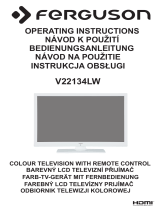 Ferguson V22134LW instrukcja