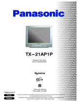 Panasonic TX21AP1P Instrukcja obsługi