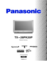 Panasonic TX28PK20P Instrukcja obsługi