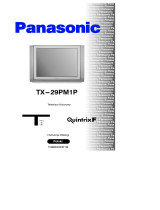 Panasonic TX29PM1P Instrukcja obsługi