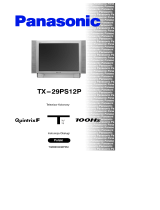 Panasonic TX29PS12P Instrukcja obsługi