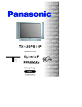 Panasonic TX29PS11P Instrukcja obsługi