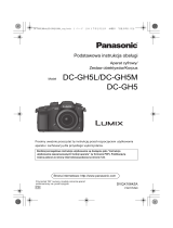 Panasonic DCGH5 Instrukcja obsługi