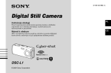 Sony DSC-L1 Instrukcja obsługi