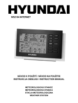 Hyundai WS2194 INTERNET Instrukcja obsługi