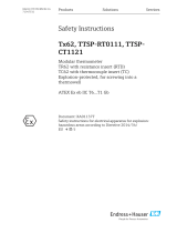 ENDRESS+HAUSER TTSP-CT1121 Safety Instructions