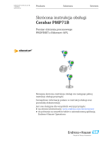 Endres+Hauser Cerabar PMP71B Short Instruction