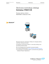 Endres+Hauser Deltabar PMD55B Short Instruction