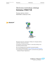 Endres+Hauser Deltabar PMD75B Short Instruction