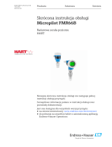 Endres+Hauser Micropilot FMR66B Short Instruction